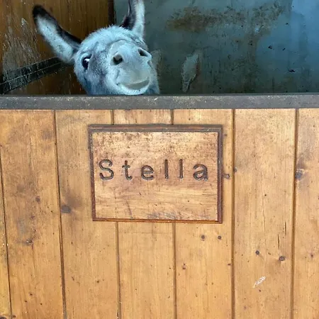 Da Baffone Farm stay Santo Stefano del Sole