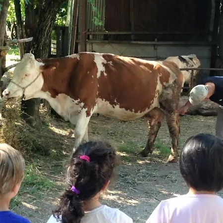 Farm stay Da Baffone *